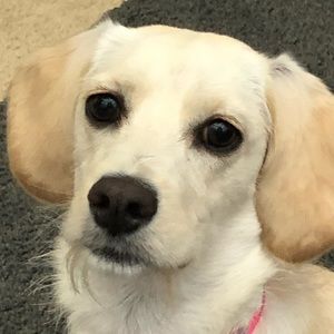 Meet your Posher, Soraya